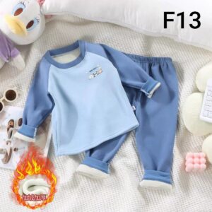 الرئيسية F13